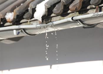 Understanding the Responsibility of Cleaning Gutters in a Rental Property: NSW Strata Guidelines