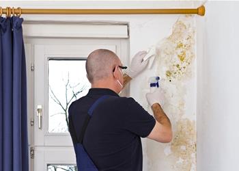 Unraveling the Mystery: Determining Liability for Mould in Strata