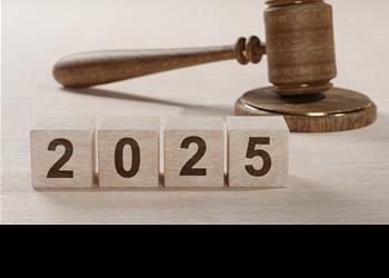 Guide to 2025 strata law changes